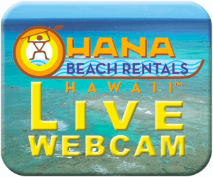 Check out the Number One Hawaii Webcam Hawaii WebCam