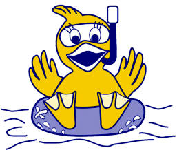 Rubber Duckie Race