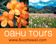 Oahu Tours