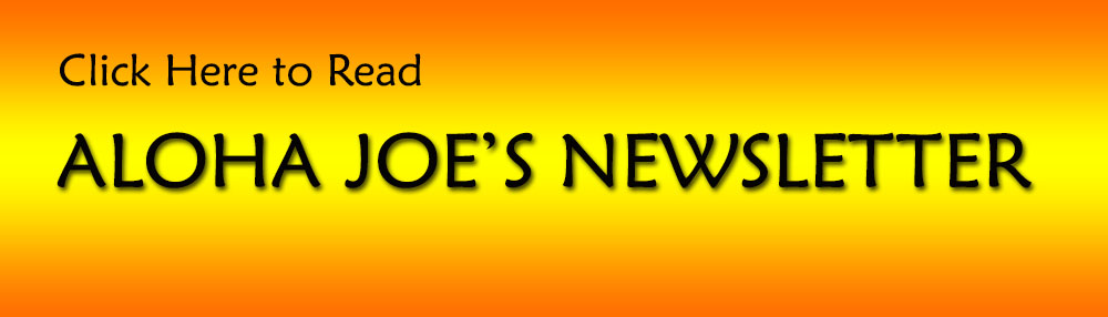 NEWSLETTER